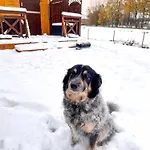 Islandzka Chatka- Jacuzzi I Sauna W Cenie * Mzyki