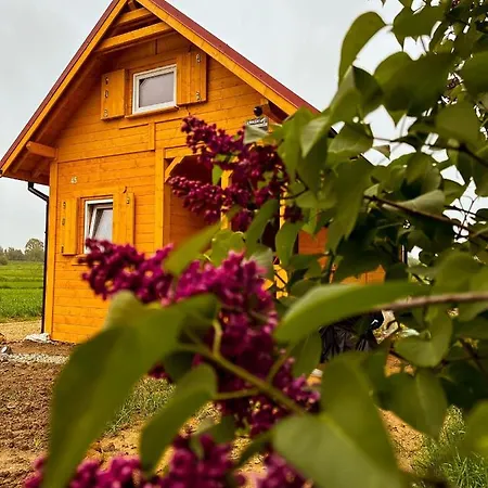 Dom wakacyjny Islandzka Mzyki