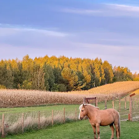 Islandzka Chatka- Jacuzzi I Sauna W Cenie * Mzyki