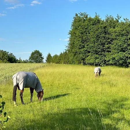 Vakantiehuis Islandzka Chatka- Jacuzzi I Sauna W Cenie *