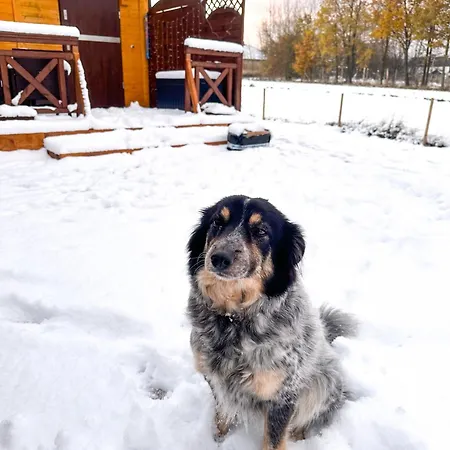 Islandzka Chatka- Jacuzzi I Sauna W Cenie * Mzyki