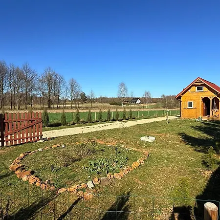Islandzka Mzyki