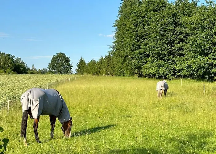 Holiday home Islandzka Chatka- Jacuzzi I Sauna W Cenie *